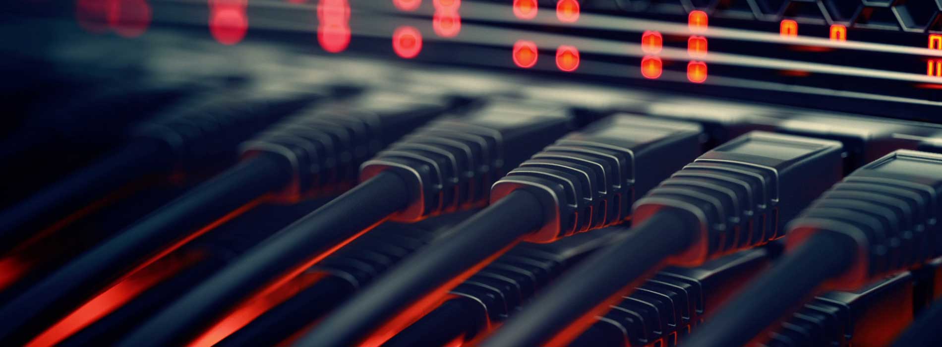 Networking Services by HoBITS Technologies